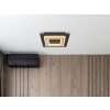 Globo lighting Jayden ceiling light LED black, 1-light source