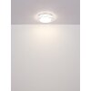 Globo lighting Flordelis ceiling light LED white, 1-light source