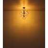 Globo lighting Conor ceiling light black, 13-light sources