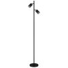 Globo lighting Korben floor lamp black, 2-light sources