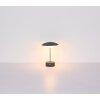 Globo lighting Tomo table lamp LED green, 1-light source