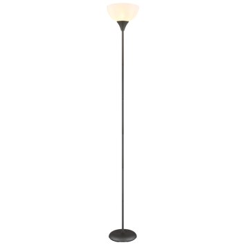 Globo lighting Wilbur floor lamp titanium, 1-light source