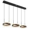 Globo lighting Della hanging light LED black, 1-light source