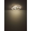 Globo lighting Alaina ceiling light LED grey, 1-light source, Remote control