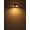 Globo lighting Woody ceiling light LED Ecru, black, 1-light source