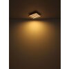 Globo lighting Hayden ceiling light LED Ecru, black, 1-light source