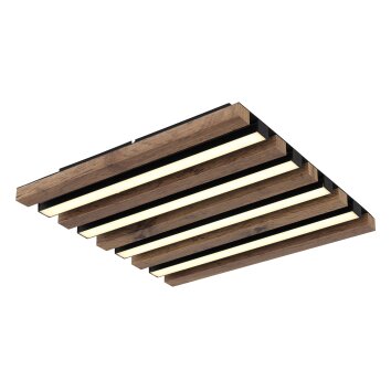 Globo lighting Hayden ceiling light LED Ecru, black, 1-light source