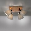 JUST LIGHT GERDA MICHEL ceiling light, ceiling spotlight Ecru, black, 4-light sources