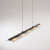 Leuchten Direkt lights NELE pendant light LED black, 1-light source