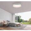 Leuchten Direkt lights OSKO ceiling light LED white, 1-light source, Remote control
