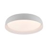 Leuchten Direkt lights OSKO ceiling light LED white, 1-light source, Remote control