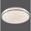 Leuchten Direkt lights KYLE ceiling light LED silver, 1-light source