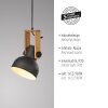 Leuchten Direkt lights 2.0 pendant light LED brown, black, 1-light source