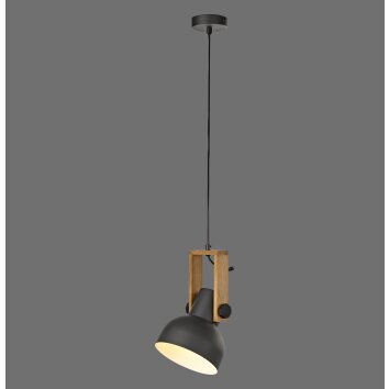 Leuchten Direkt lights 2.0 pendant light LED brown, black, 1-light source