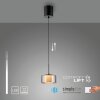 Paul Neuhaus lights Rika pendant light LED black, 1-light source