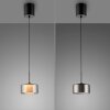 Paul Neuhaus lights Rika pendant light LED black, 1-light source