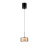 Paul Neuhaus lights Rika pendant light LED black, 1-light source