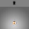 Paul Neuhaus lights Rika pendant light LED black, 1-light source