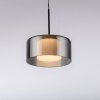 Paul Neuhaus lights Rika pendant light LED black, 1-light source