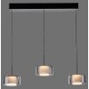 Paul Neuhaus lights Rika pendant light LED black, 3-light sources