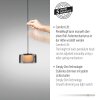 Paul Neuhaus lights Rika pendant light LED black, 3-light sources