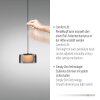 Paul Neuhaus lights Rika pendant light LED black, 3-light sources