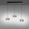 Paul Neuhaus lights Rika pendant light LED black, 3-light sources