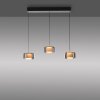 Paul Neuhaus lights Rika pendant light LED black, 3-light sources