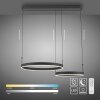 Paul Neuhaus lights Esko pendant light LED black, 2-light sources, Remote control