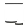 Paul Neuhaus lights Esko pendant light LED black, 2-light sources, Remote control