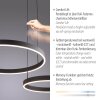 Paul Neuhaus lights Esko pendant light LED black, 2-light sources, Remote control