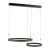 Paul Neuhaus lights Esko pendant light LED black, 2-light sources, Remote control