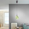 Paul Neuhaus lights Zula pendant light LED brown, 1-light source