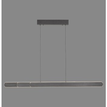 Paul Neuhaus lights Round pendant light LED black, 2-light sources