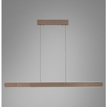 Paul Neuhaus lights Round pendant light LED brown, 2-light sources