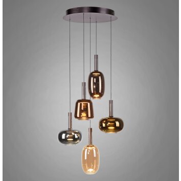 Paul Neuhaus lights Irides pendant light LED brown, 5-light sources