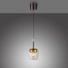 Paul Neuhaus Q-Serie Q-Kon pendant light LED brown, 1-light source, Remote control