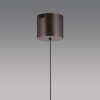 Paul Neuhaus Q-Serie Q-Kon pendant light LED brown, 1-light source, Remote control