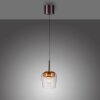 Paul Neuhaus Q-Serie Q-Kon pendant light LED brown, 1-light source, Remote control