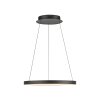 Paul Neuhaus lights Hoop pendant light LED black, 1-light source