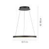 Paul Neuhaus lights Hoop pendant light LED black, 1-light source