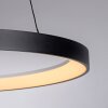 Paul Neuhaus lights Hoop pendant light LED black, 1-light source