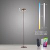 Paul Neuhaus Q-Serie Q-Rotate floor lamp LED brown, 1-light source, Remote control