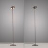 Paul Neuhaus Q-Serie Q-Rotate floor lamp LED brown, 1-light source, Remote control
