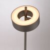 Paul Neuhaus Q-Serie Q-Rotate floor lamp LED brown, 1-light source, Remote control