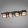 Paul Neuhaus lights Rika ceiling light LED black, 4-light sources