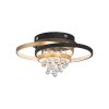 Paul Neuhaus lights Rotazo ceiling light LED gold, black, 1-light source