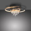 Paul Neuhaus lights Rotazo ceiling light LED gold, black, 1-light source