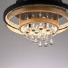 Paul Neuhaus lights Rotazo ceiling light LED gold, black, 1-light source