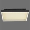 Paul Neuhaus Q-Serie Q-Magong ceiling light LED black, 1-light source, Remote control